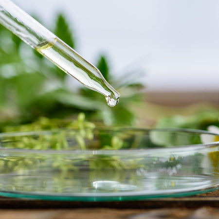 Elevating Your Cannabis Experience with EkkoEssence’s Mobile Lab