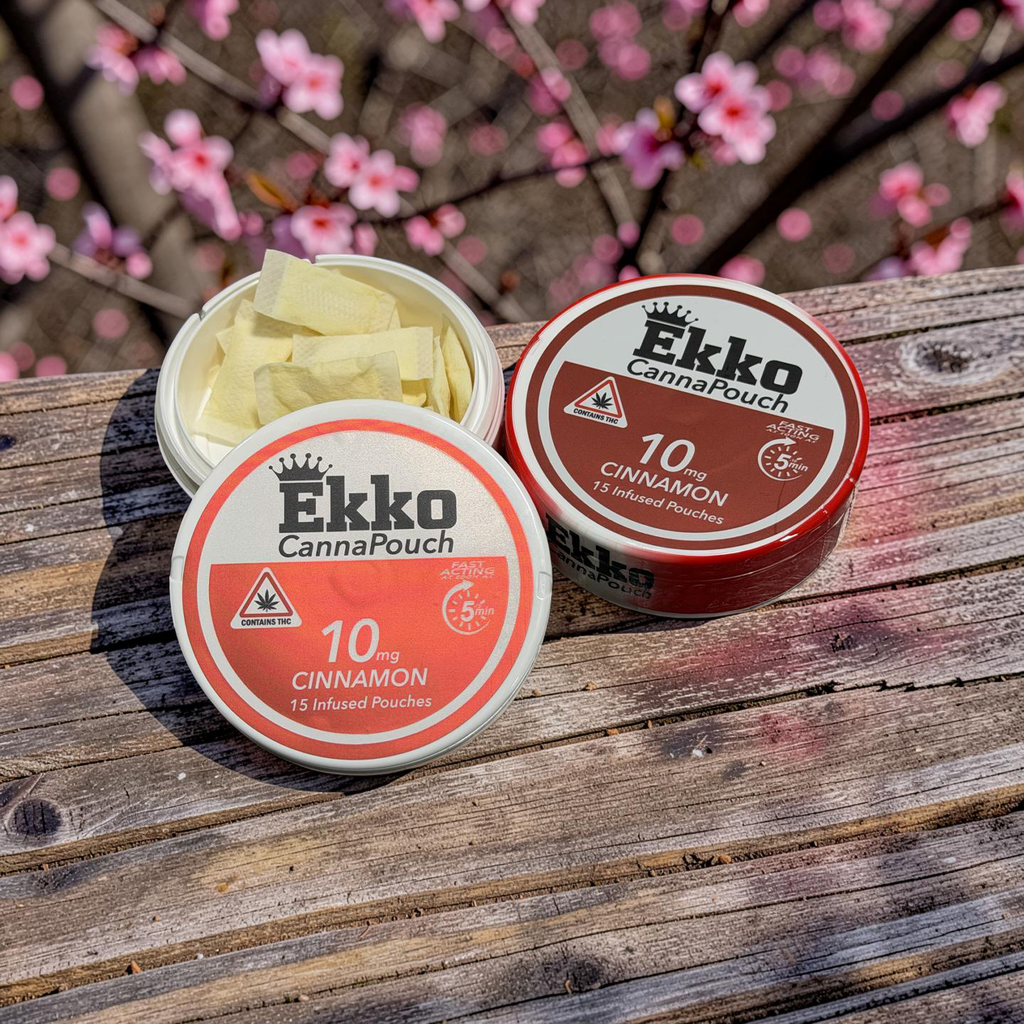 Ekko CannaPouch 10mg each | 150mg (Qty 15) Cinnamon